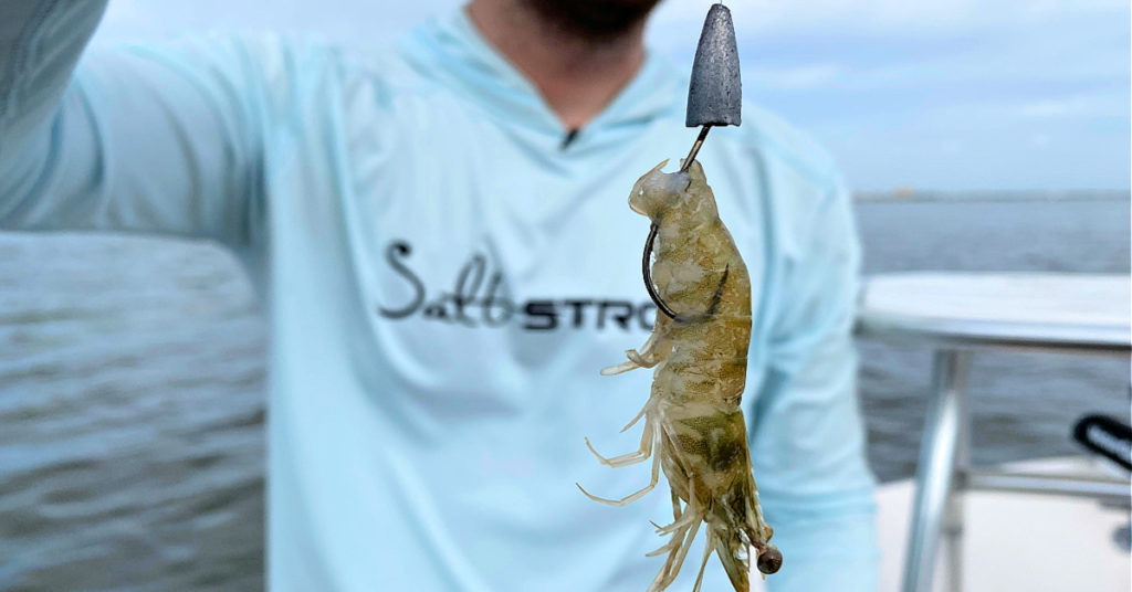 weedless shrimp rig