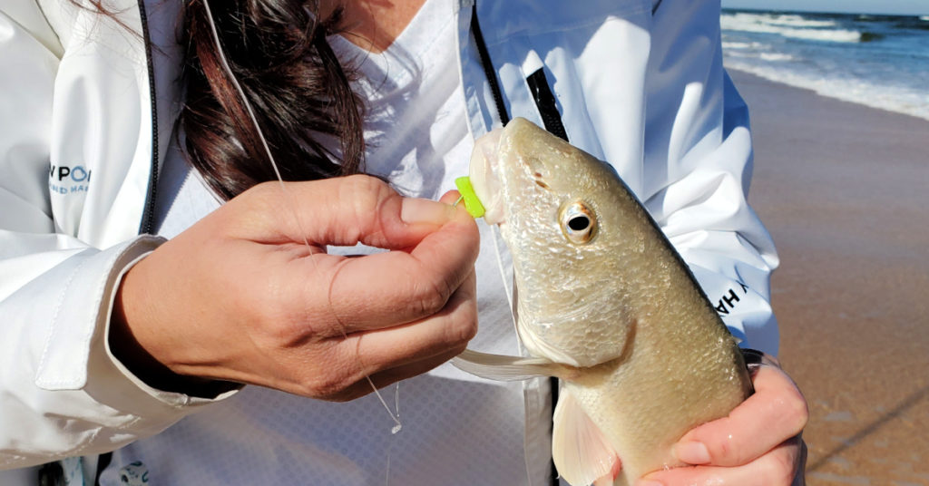 fishbites bait