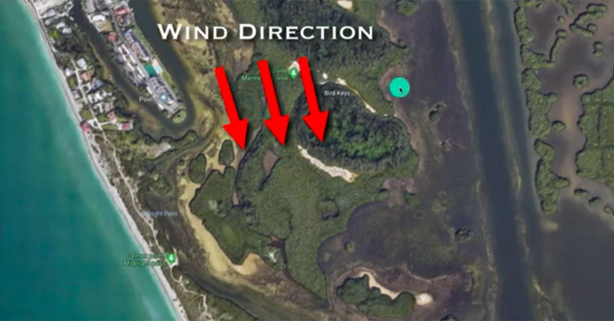 http://fishing%20in%20the%20wind