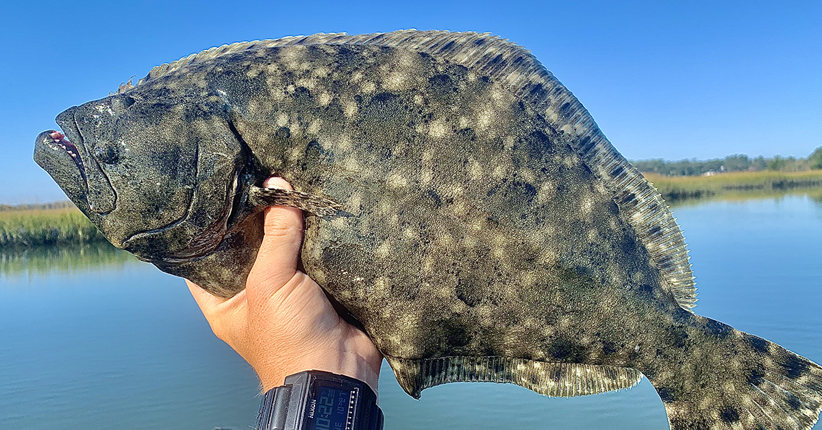 http://best%20spot%20for%20fall%20flounder