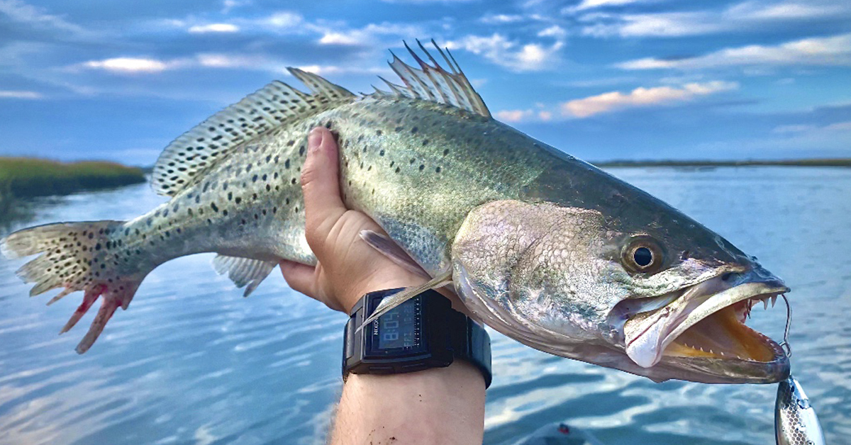 http://fall%20trout%20spots