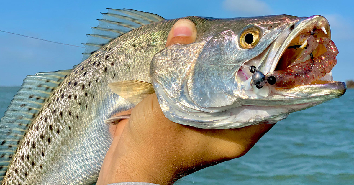 http://best%20spring%20inshore%20fishing%20lures