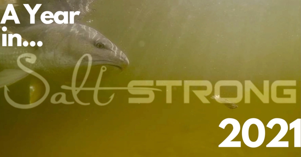 http://a%20year%20in%20salt%20strong%20-%202021